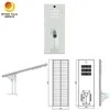 Projet gouvernemental 8m 9m Ensemble complet 100W Lampe de rue solaire à induction