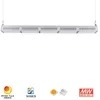Rygh 250W LED linéaire haute baie lumière Garage luminaires