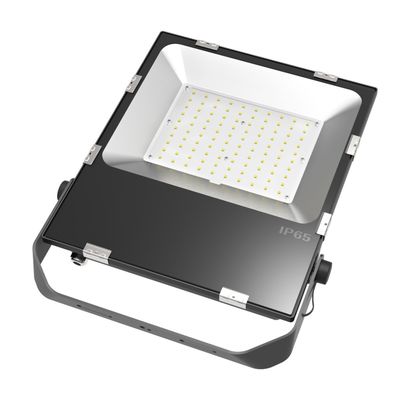 Driverless industrial led floodlight AC Outdoor high lumen 100 watts