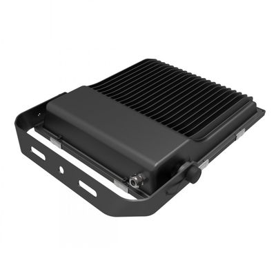 Driverless industrial led floodlight AC Outdoor high lumen 100 watts