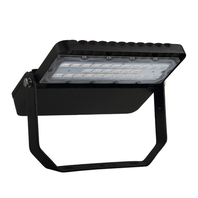 Conducteur en aluminium économiseur d'énergie du lumen IP65 100W MEANWELL de réverbère de 10KV LED haut
