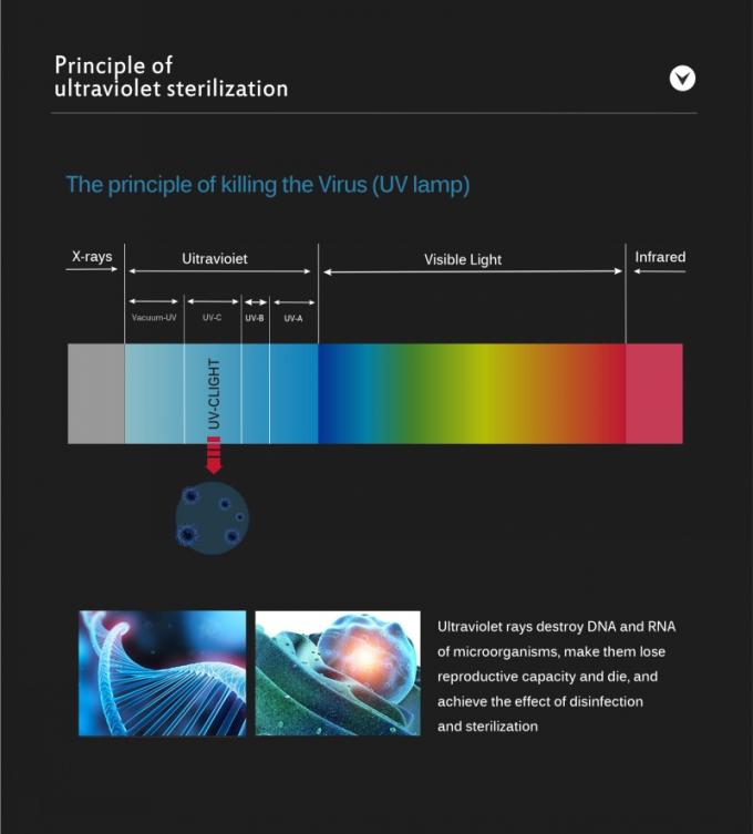 salles entières de désinfection de la lumière UV